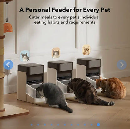 Cat Auto Feeder