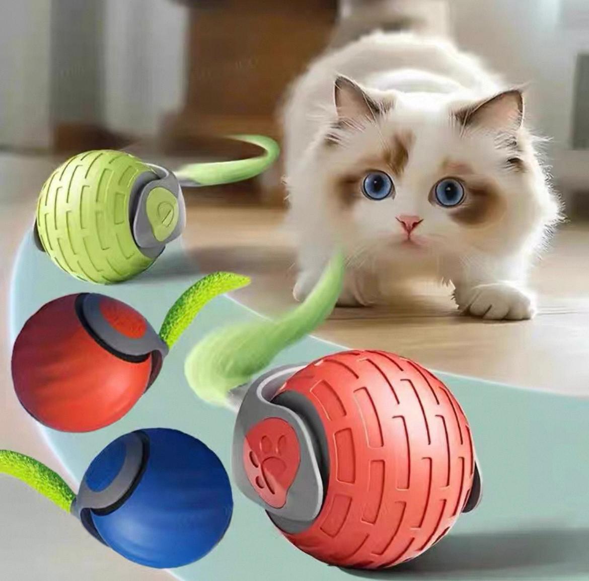 Cat Toy V1